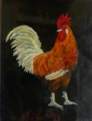 French School (20th century): Portrait of a Chicken,