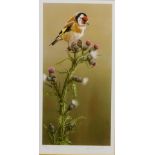 Robert E Fuller (British 1972-): Goldfinch on a Thistle, limited edition colour print No.