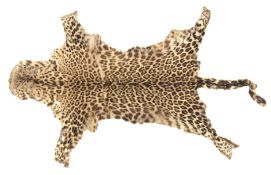 Taxidermy - Late 19th/ early 20th century Leopard skin rug with tanned back,