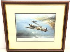 'First Combat' from The Battle of Britain Aces Collection, Don Kingaby flying a 266 Sqn.
