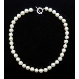 Single strand freshwater pearl necklace with silver clasp,