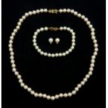 Single strand cultured pearl necklace each pearl 6.