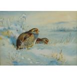 John Hammond Harwood (British 1904-1980): Grey Partridges in the Snow,