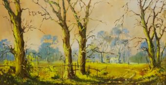 Don Micklethwaite (British 1936-): Rural Landscape,
