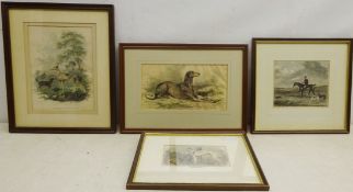 Greyhound Studies, four 18th and 19th century engravings hand coloured max 21.