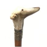 Edwardian malacca walking stick,