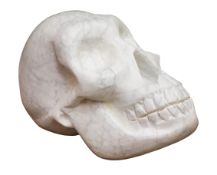 Darren Yeadon (British 1970-): Skull, Carrara Venatino Marble sculpture,