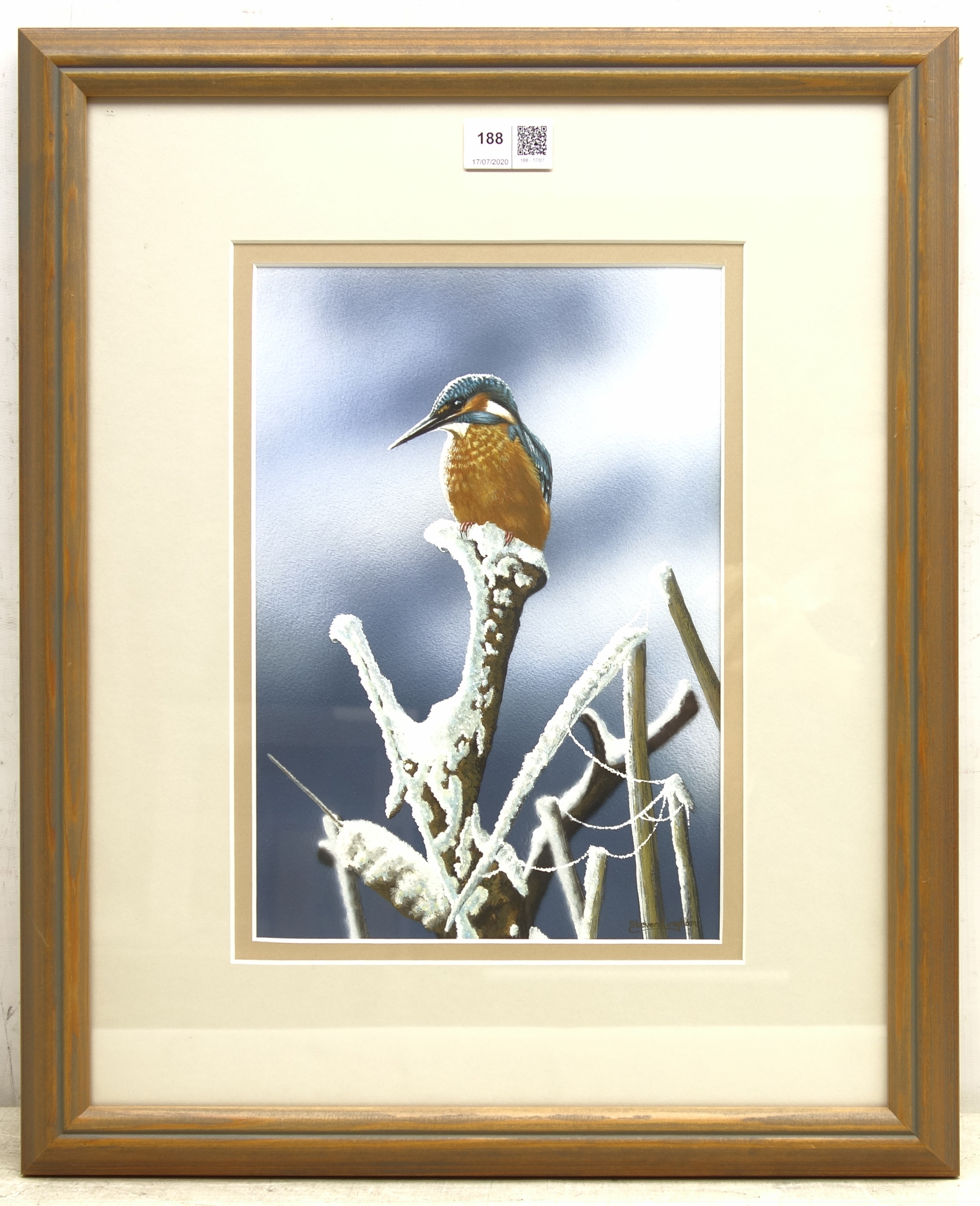 Steven Lingham (British Contemporary): Kingfisher, - Image 2 of 2