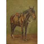 Gilbert Wall** (Early 20th century): Portrait of a Saddled Horse,