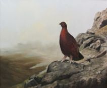 Berrisford Hill (British 1930-): Red Grouse on a Cragside,