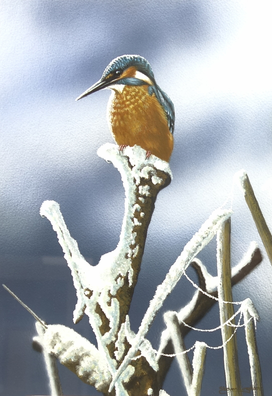 Steven Lingham (British Contemporary): Kingfisher,