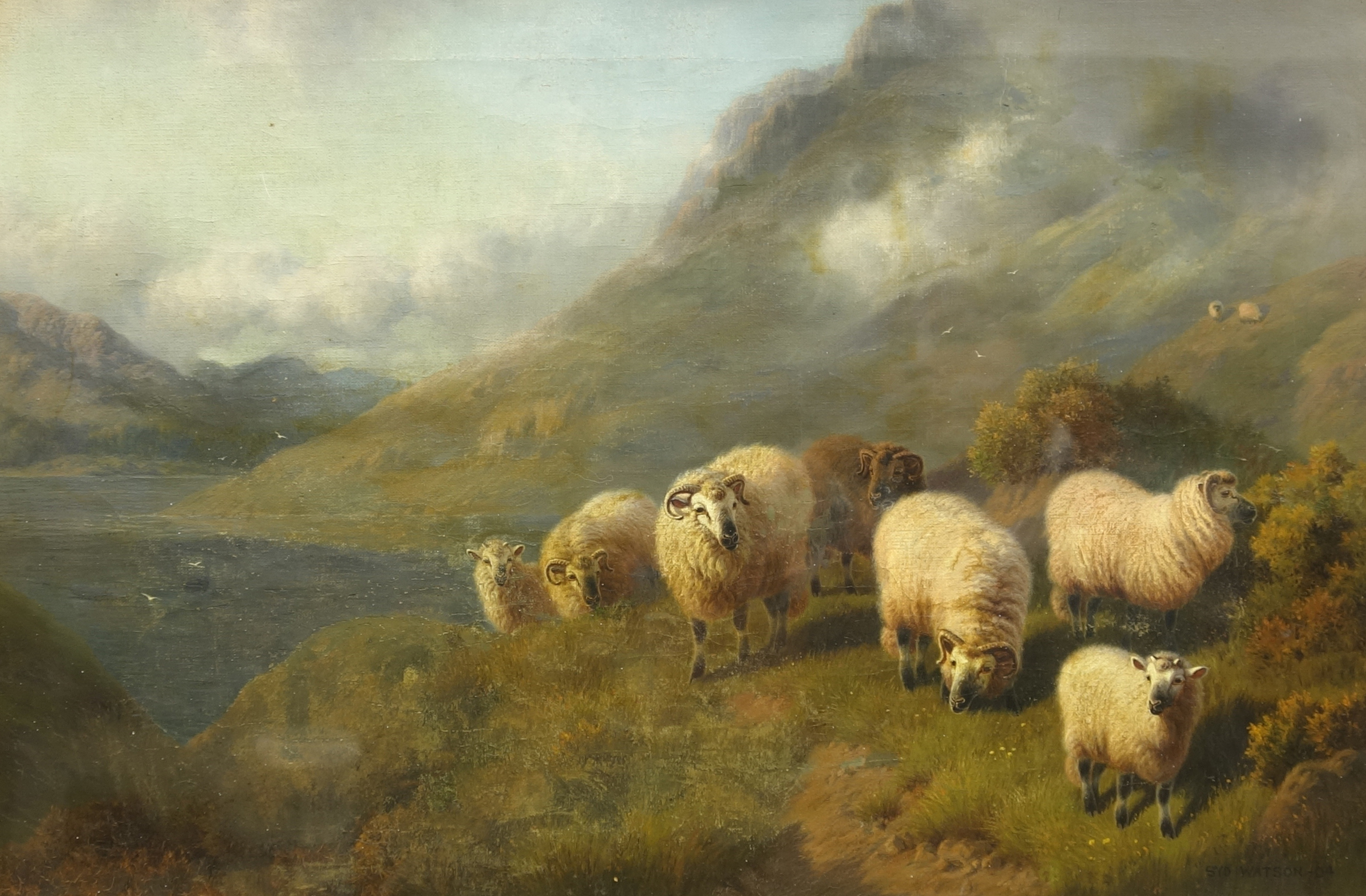 Sydney Watson Arthur (British 1881-1932): Highland Sheep - 'Loch Tay Perthshire',