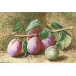 Charles Henry Slater (British 1820-1890): Still Life of Plums on a Branch,