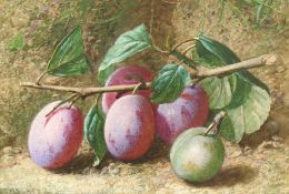 Charles Henry Slater (British 1820-1890): Still Life of Plums on a Branch,