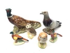 Six Beswick birds comprising a model of a Pigeon no. 1383, Pheasant no.