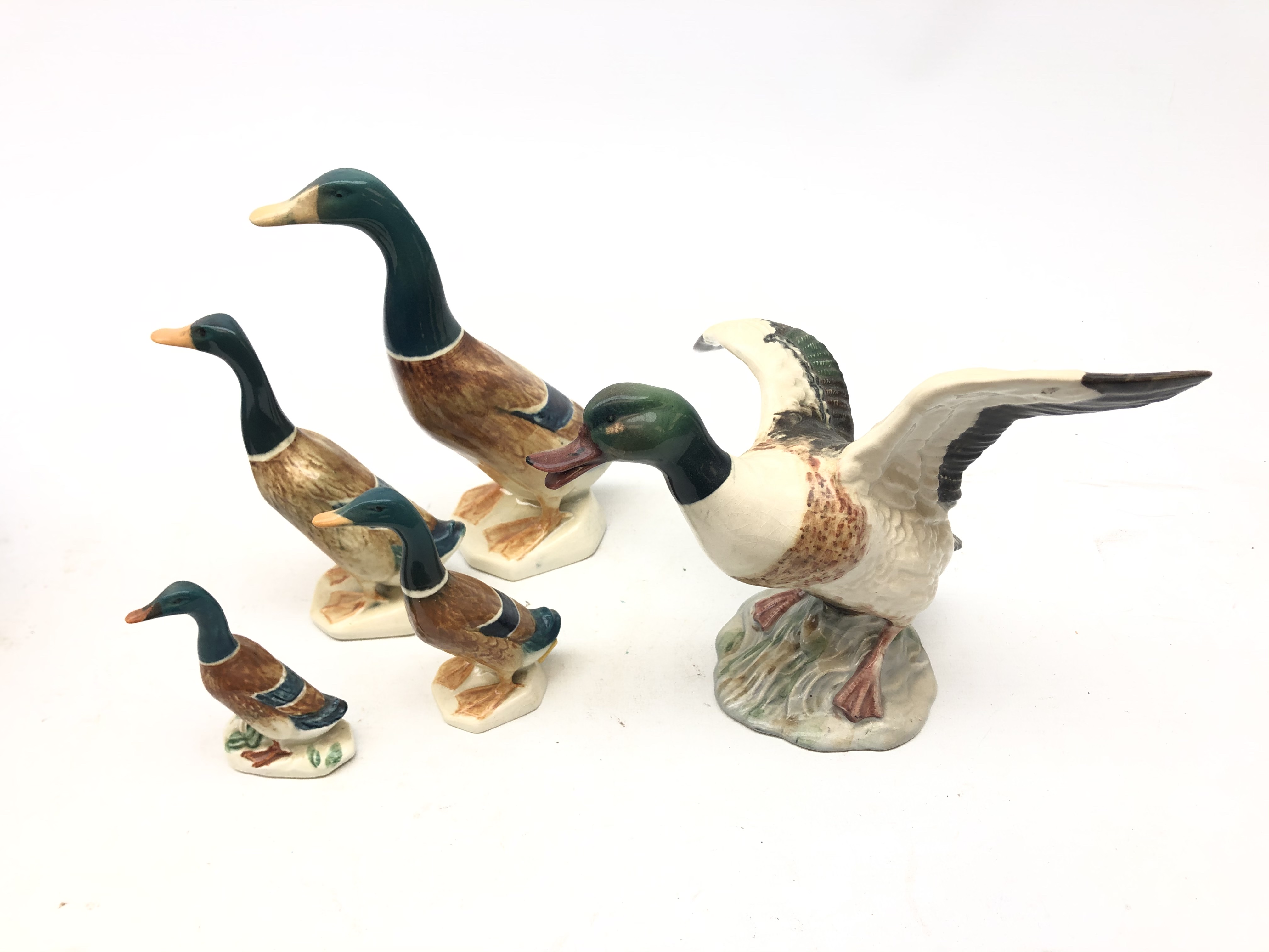 Beswick Shelldrake Duck no. 995 and a Graduated set of Beswick Mallard Ducks no.