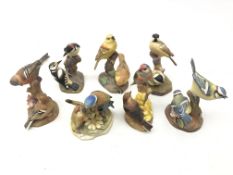 Six Royal Worcester and one Royal Adderley matt glazed bird groups including Yellow Hammers,