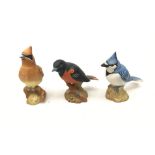 Three Beswick matt glazed birds comprising Baltimore Oriole,