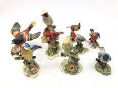 Nine Royal Adderley bird models comprising Canary, Cardinal, Blue Tit,