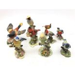 Nine Royal Adderley bird models comprising Canary, Cardinal, Blue Tit,