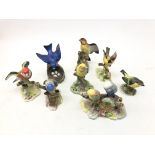 Eight Royal Adderley bird models comprising Yellow Hammers, Goldfinch,