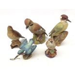 Royal Worcester matt glazed birds comprising Kingfisher, Thrush,