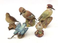 Royal Worcester matt glazed birds comprising Kingfisher, Thrush,