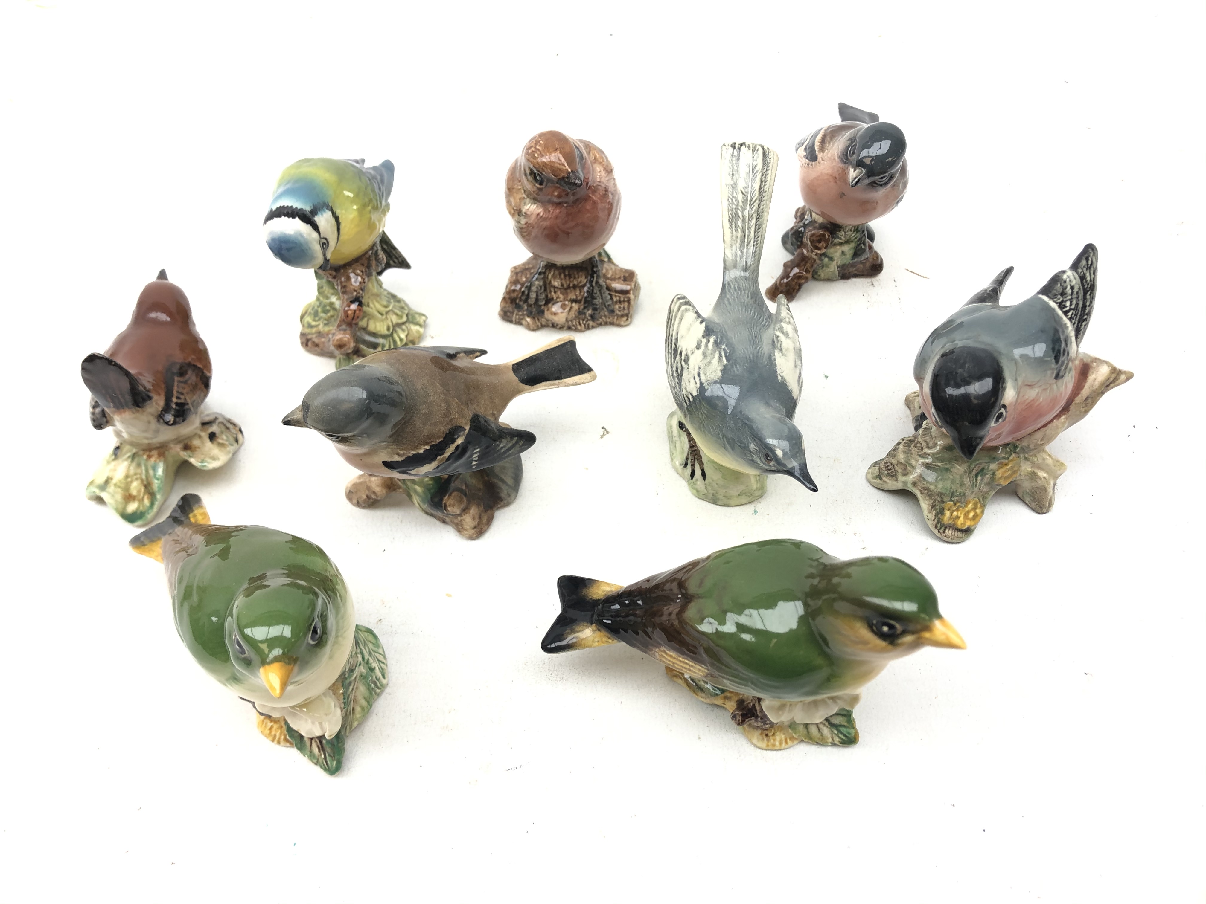 Nine Beswick birds including a Chaffinch, two Greenfinch, Grey Wagtail,