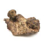 Bronze head of a Labrador mounted upon a large gnarled and weathered rootwood stand L36cm