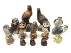 Seven Royal Doulton Whyte and Mackay Scotch Whisky bird form decanters including Short-Eared Owl