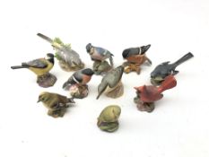 Ten Royal Worcester and Beswick matt glazed birds including a Red Cardinal, Blue Jay, Bull Finch,