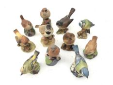 Eleven Royal Worcester, Beswick, Royal Adderley and other matt glazed birds including a Crested Tit,