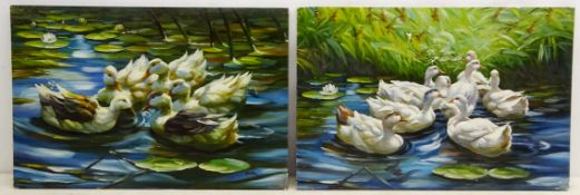 H Richter (20th Century): Ducks Swimming Amongst Lilies,