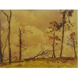 Fred Lawson (British 1888-1968): 'After the Storm', watercolour signed and dated 1935,