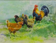 Robert Nicholls (British 1973-): Poultry,