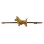 Early 20th century gold Scottie dog bar brooch,