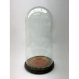 A Vintage clear glass dome, upon an ebonised wooden base with three bun feet, base of dome W24cm.