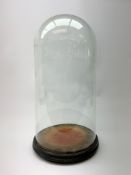 A Vintage clear glass dome, upon an ebonised wooden base with three bun feet, base of dome W24cm.