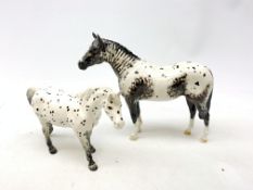 A Beswick figurine, modelled as a spotted Appaloosa pony,