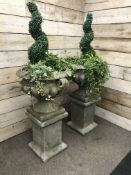 Pair large composite stone twin handled garden urns on square column plinths (planted),