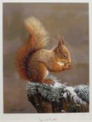 Robert E Fuller (British 1972-): 'Squirrel Nutkin',