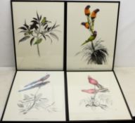 After Blake Twigden (Australian 1945-): Australian Bird Studies, four colour prints pub.