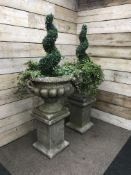 Pair large composite stone twin handled garden urns on square column plinths (planted),