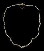 Single strand of graduating cultured pearl necklace, with 9ct gold clasp