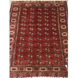 Turkman Tekke Bokhara red ground rug, the field and border decorated with guls, 177cm x 213cm