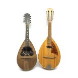 Italian lute back mandolin with segmented rosewood back and spruce top, bears label ' Cav. Giovanni