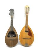 Italian lute back mandolin with segmented rosewood back and spruce top, bears label ' Cav. Giovanni