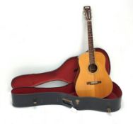 1995 George Washburn acoustic guitar D-34S model no. 9511002, in carrying case