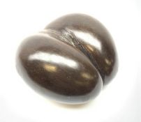 A Coco De Mer (Lodoicea Maldivica) nut shell, approximately L28.5cm, W27cm.