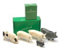 A Beswick CH Wallboy Pig, together with a CH Wallqueen Sow, a Gloucester Old Spot, with maker's box,